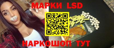 мдпв Бийск