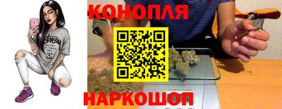 мдпв Бийск