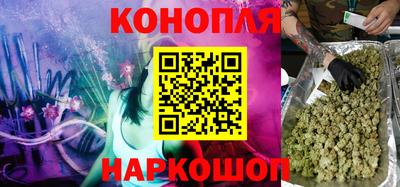 мдпв Бийск