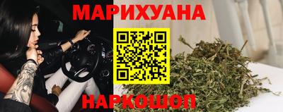 мдпв Бийск