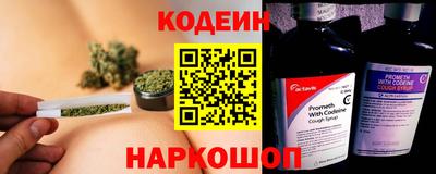 мдпв Бийск