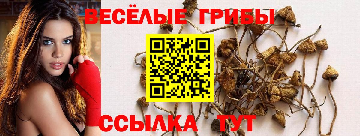 Галлюциногенные грибы GOLDEN TEACHER Кировск