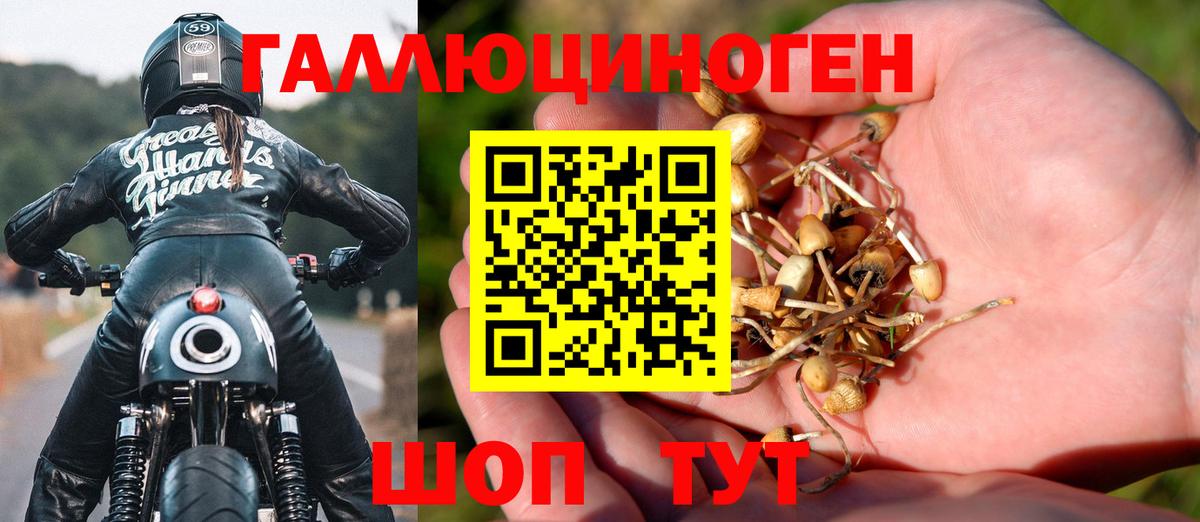 закладки  Вход с VPN  Кировск  Галлюциногенные грибы ЛСД 